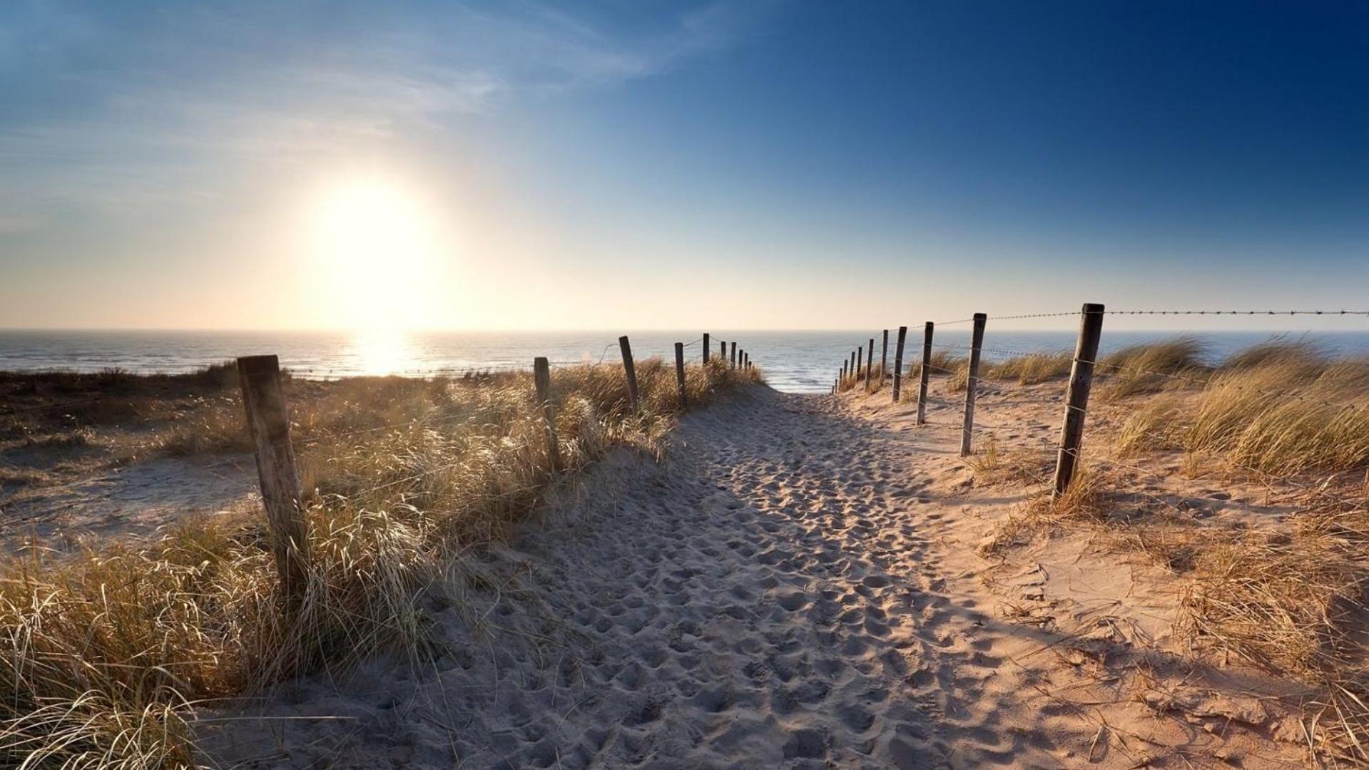 Sunny Dunes Зандвоорт Екстериор снимка
